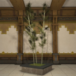 竹の鉢植