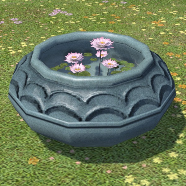睡蓮の水鉢